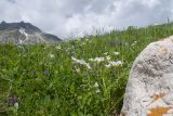 Гора Гузерипль, image of landscape/habitat.