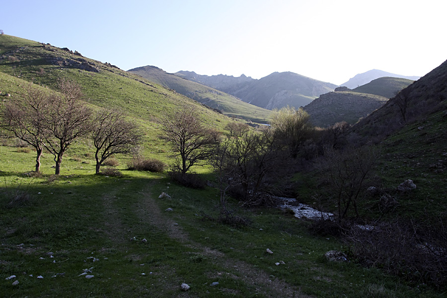 Горы Сартур, image of landscape/habitat.