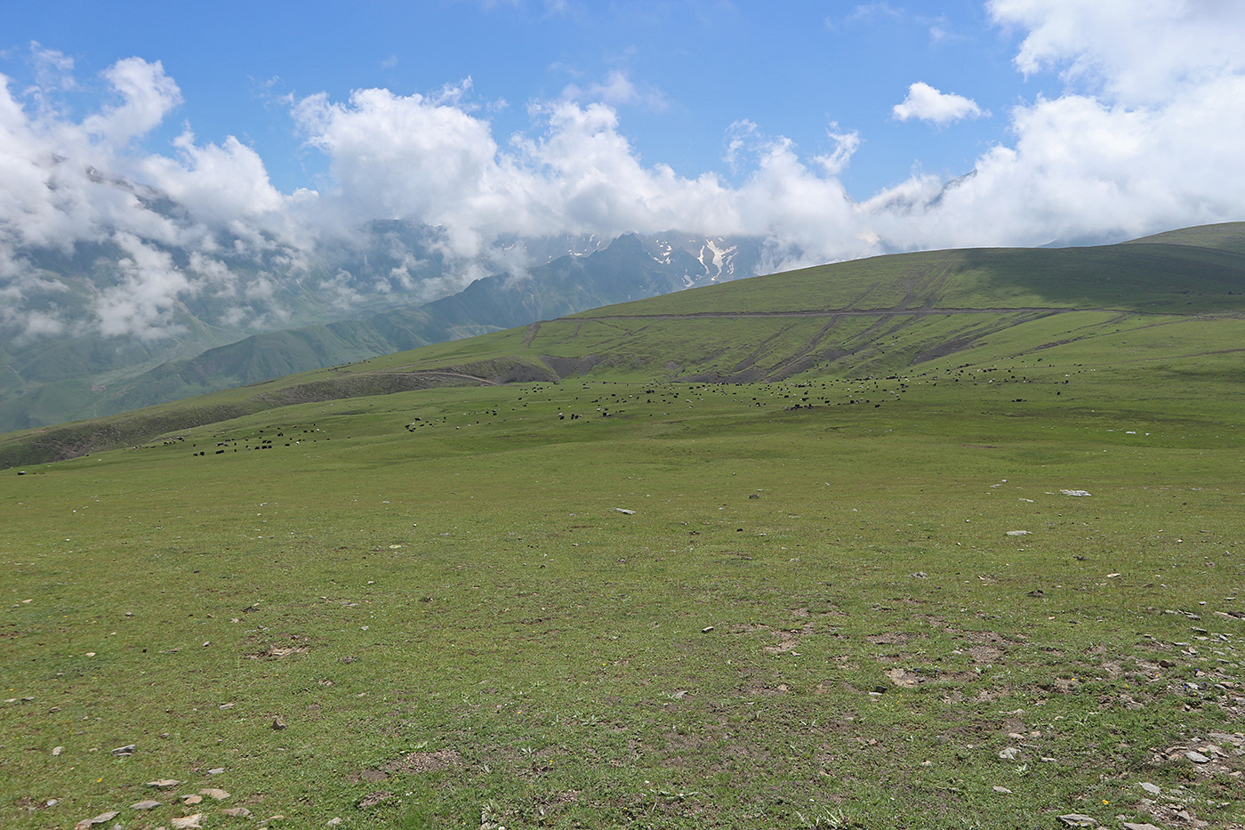 Урочище Хогес, image of landscape/habitat.