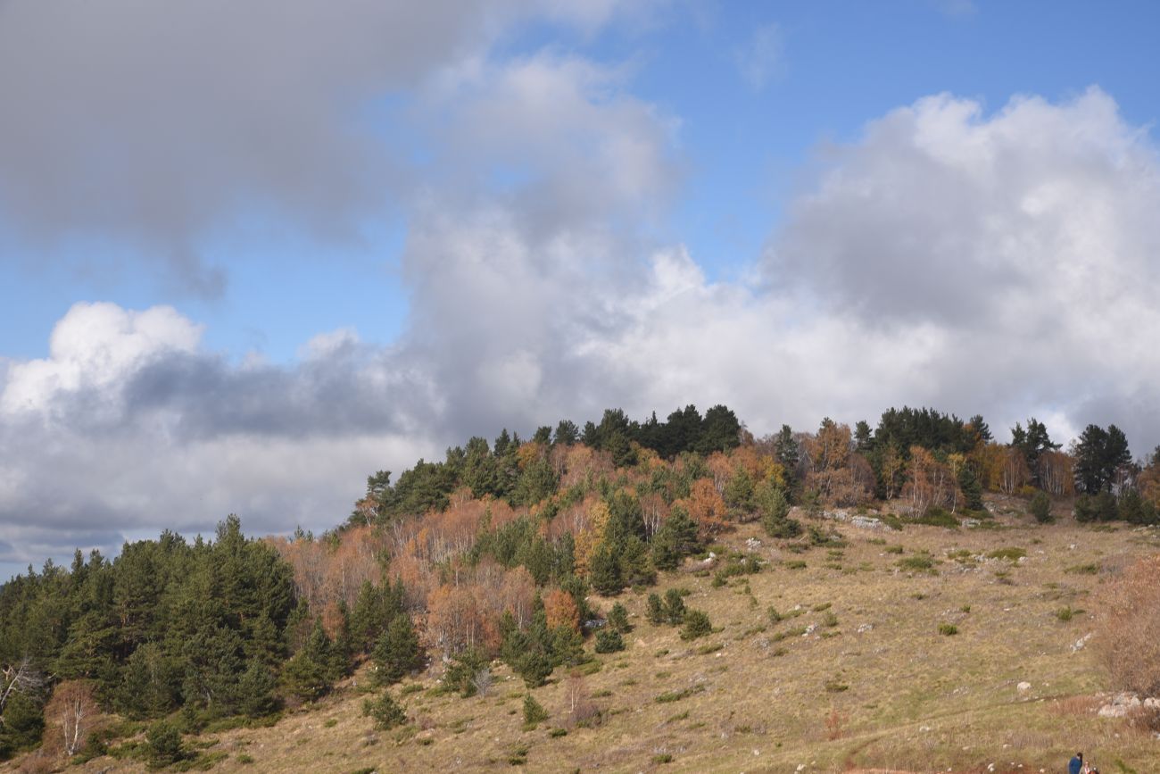 Каменное Море, image of landscape/habitat.