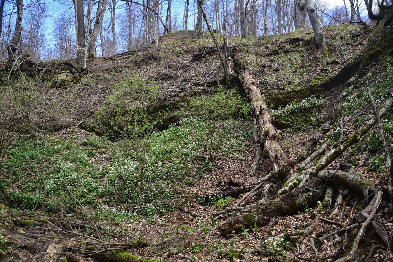Водопад Космодром, image of landscape/habitat.