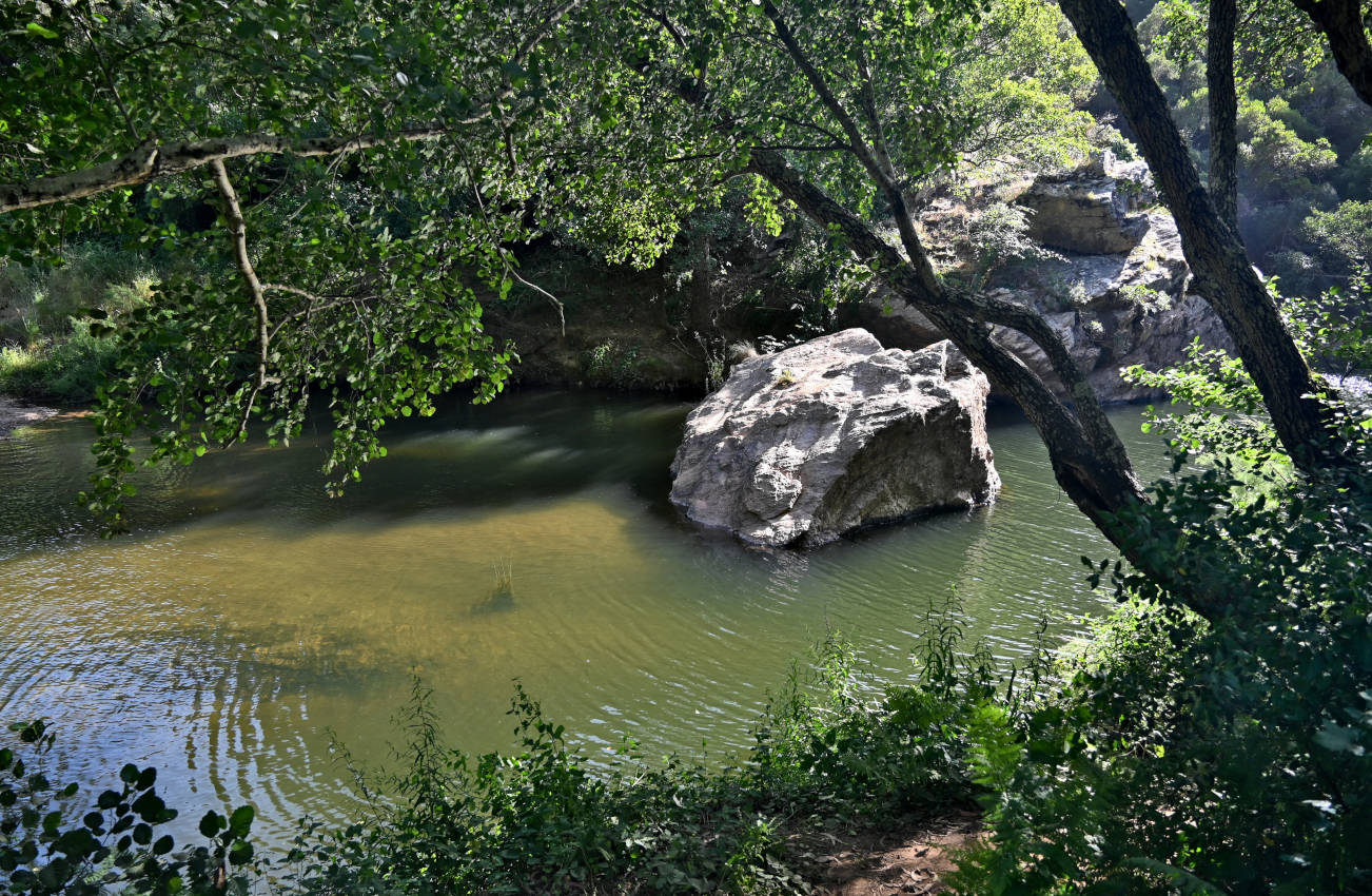 Долина реки Рибейра-ду-Торгал, image of landscape/habitat.