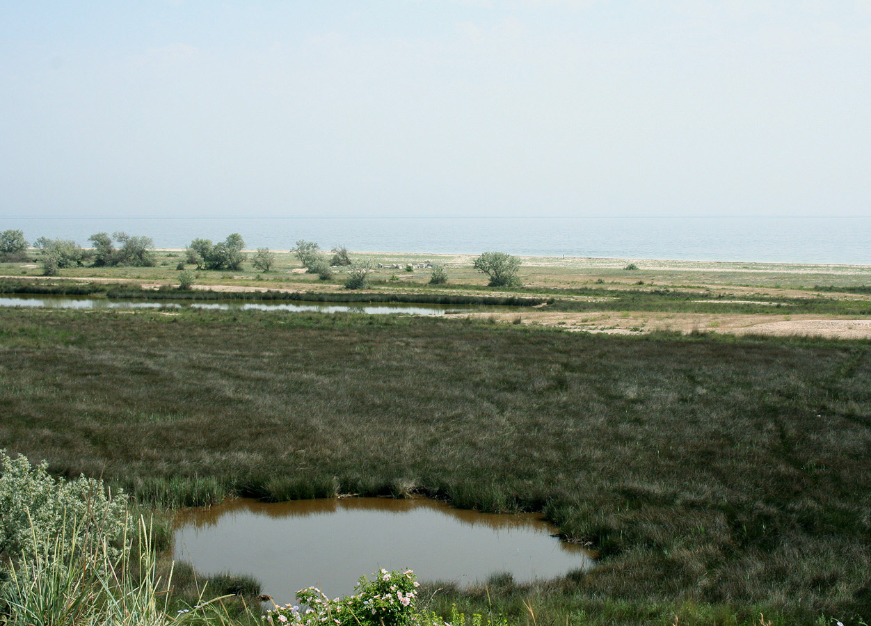 Тендровский маяк, image of landscape/habitat.