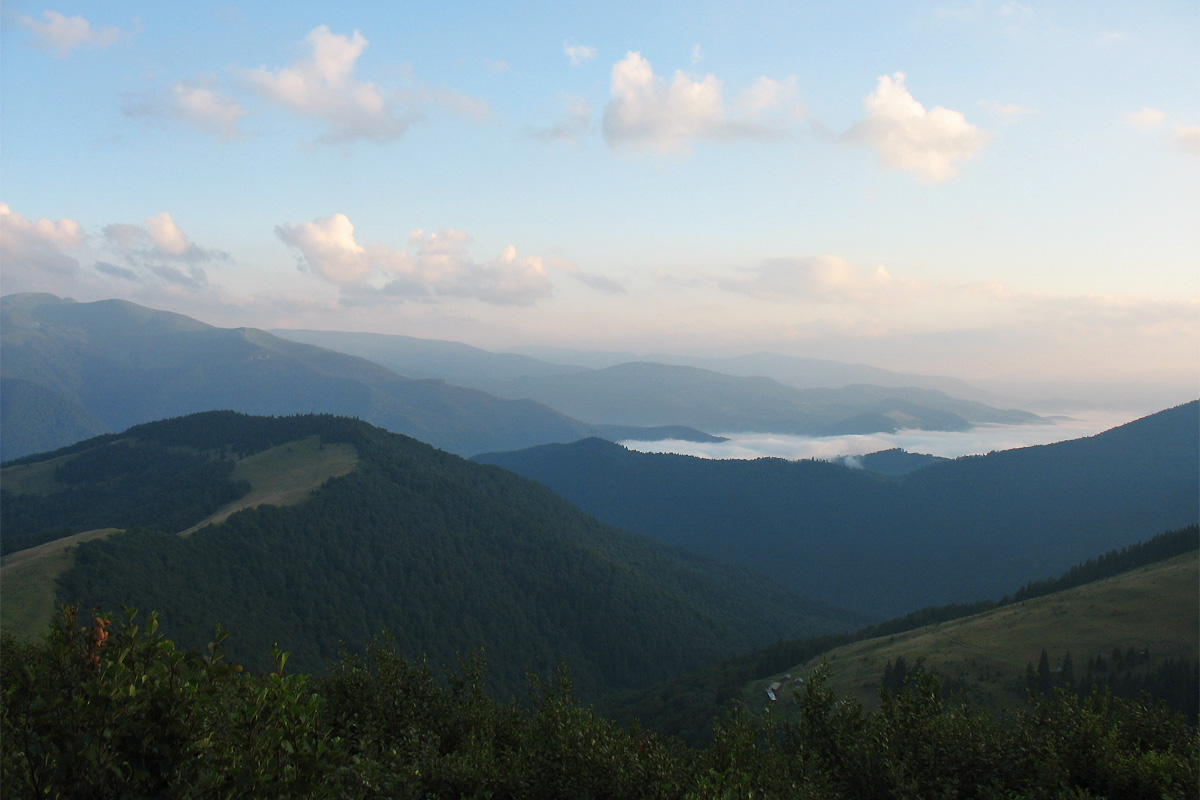 Окрестности села Квасы, image of landscape/habitat.