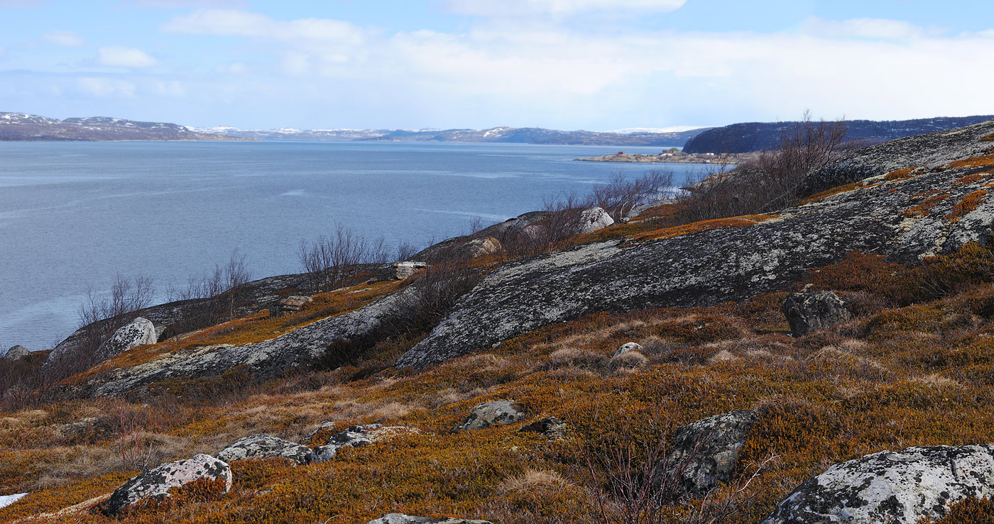 Окрестности посёлка Росляково, image of landscape/habitat.