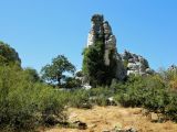 Image of landscape