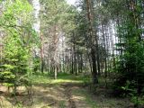 Image of landscape