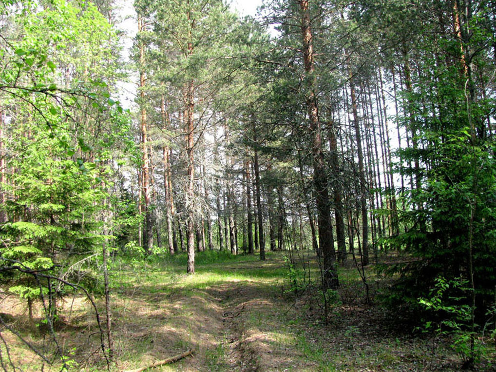Бассейн Обноры, image of landscape/habitat.