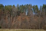 Окрестности деревни Семичёво, image of landscape/habitat.