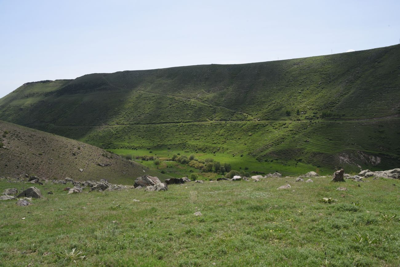 Окрестности монастыря Хцконк, image of landscape/habitat.