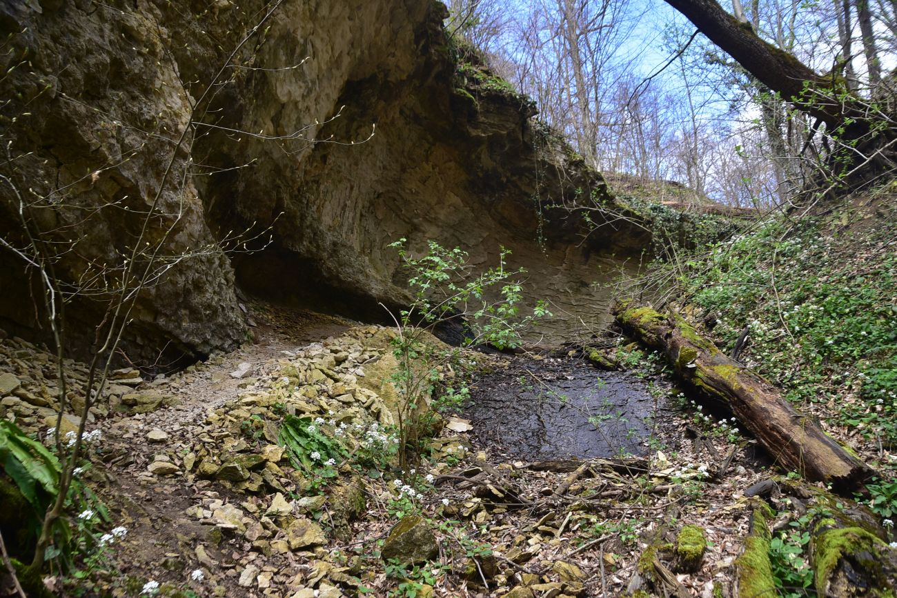 Водопад Космодром, image of landscape/habitat.