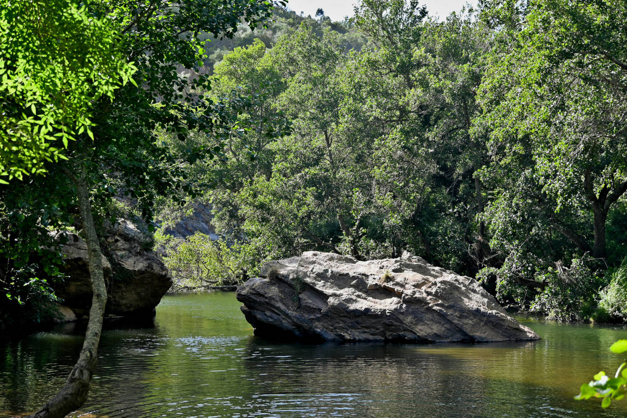 Долина реки Рибейра-ду-Торгал, image of landscape/habitat.