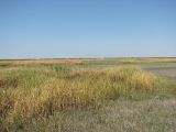 Image of landscape