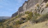 Image of landscape