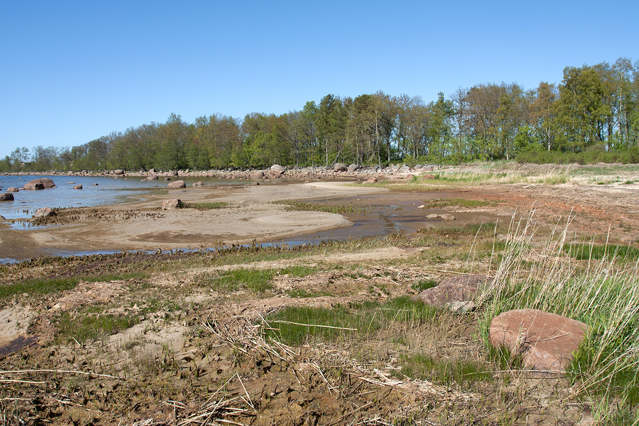 Мыс Дубовский, image of landscape/habitat.