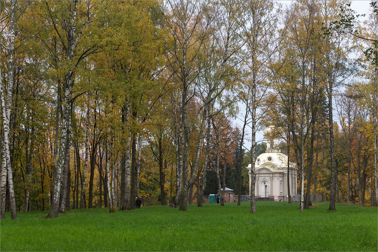 Парк «Собственная дача», image of landscape/habitat.