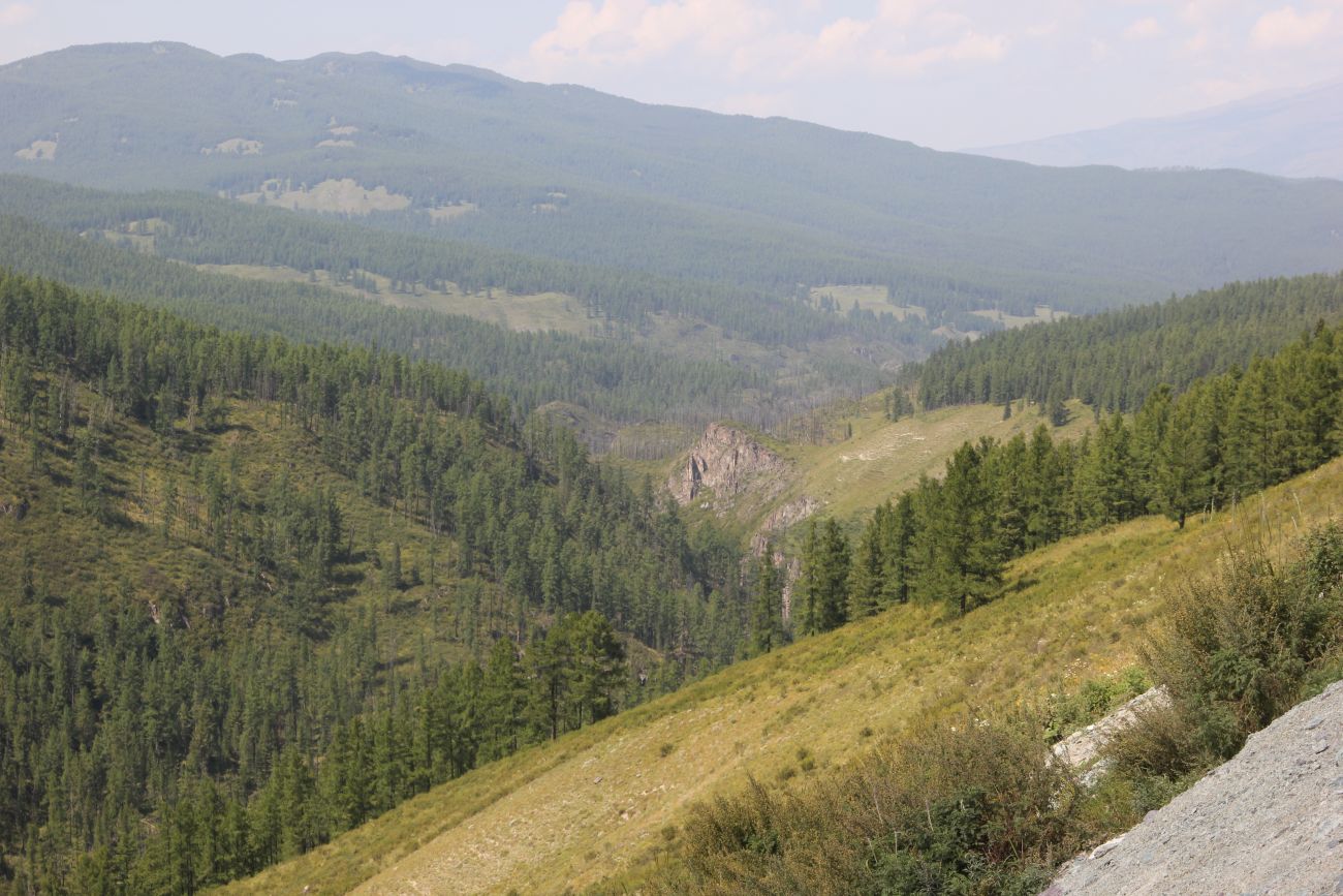 Окрестности озера Верхнее Учкёль, image of landscape/habitat.