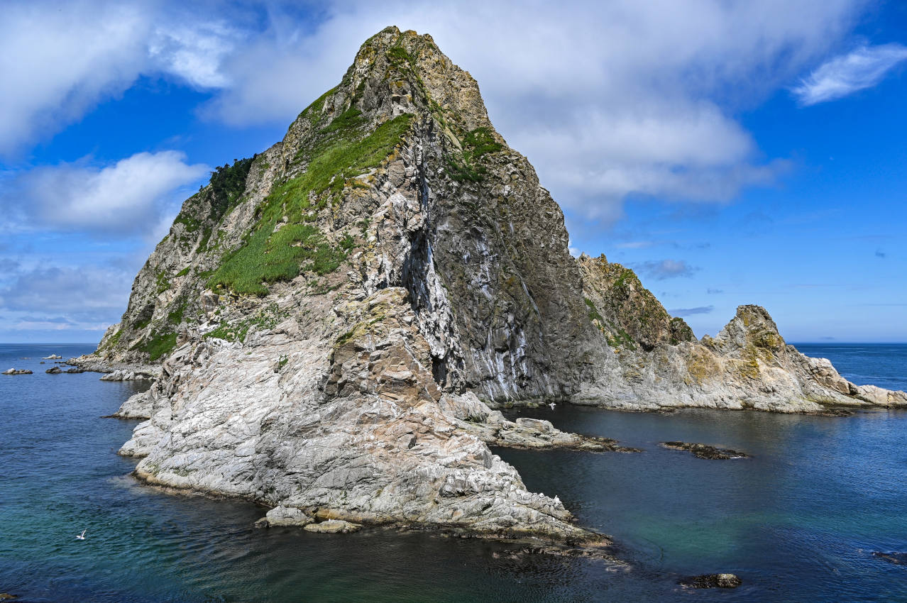 Мыс Анива, image of landscape/habitat.