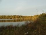 Landscape image