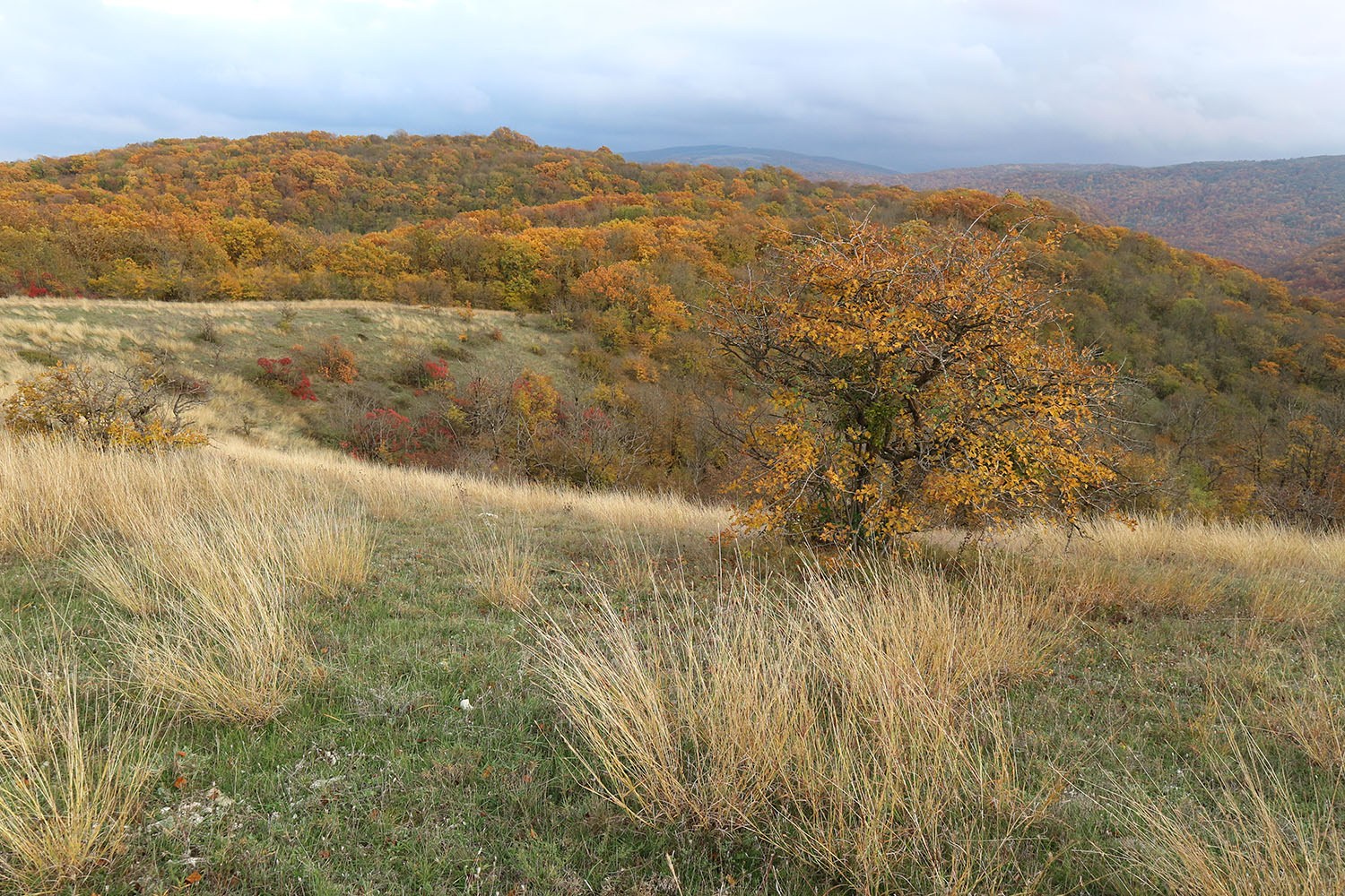 Вершина 309, image of landscape/habitat.