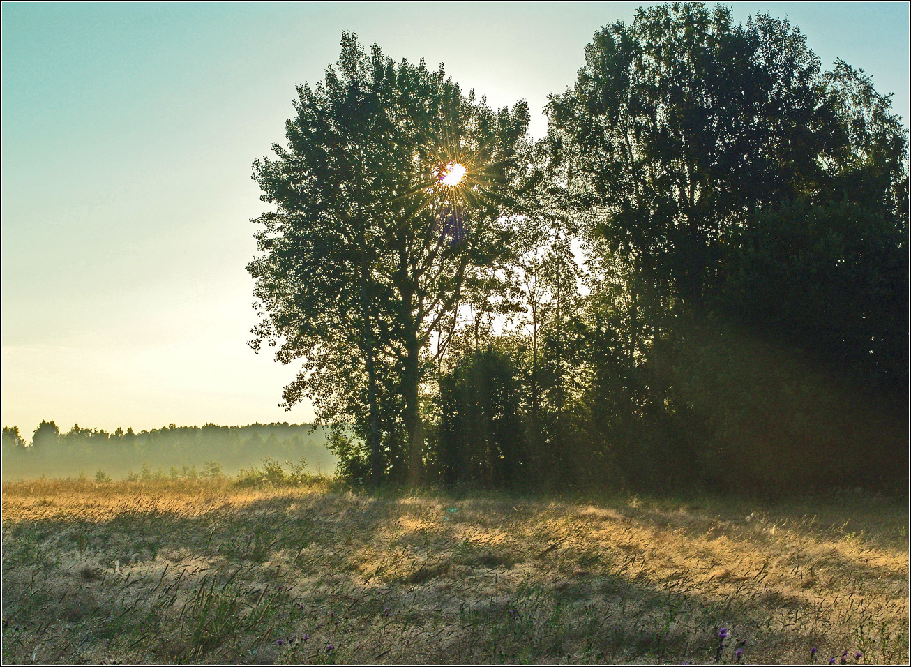 Вазуза, изображение ландшафта.
