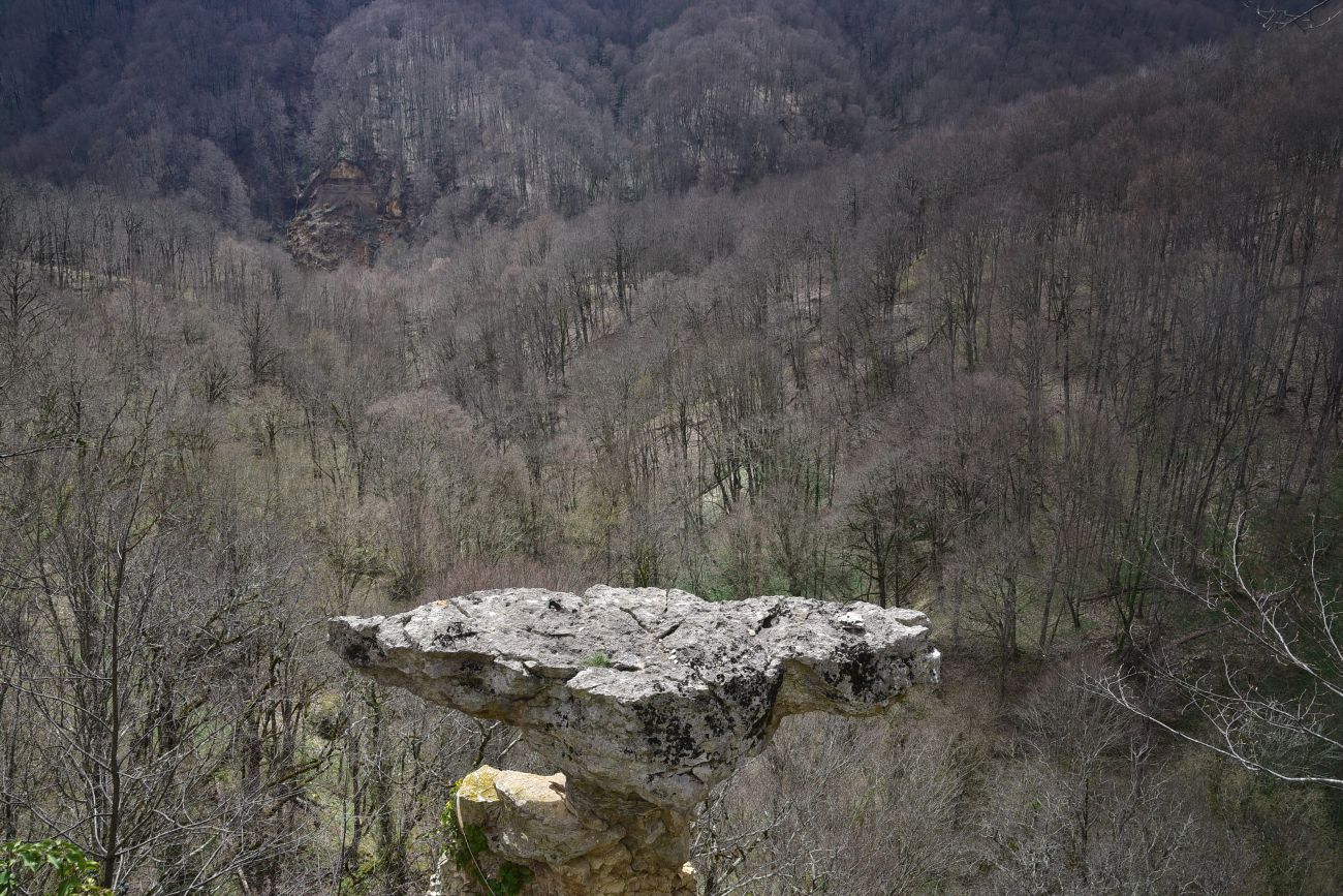 Скала Молоток, image of landscape/habitat.