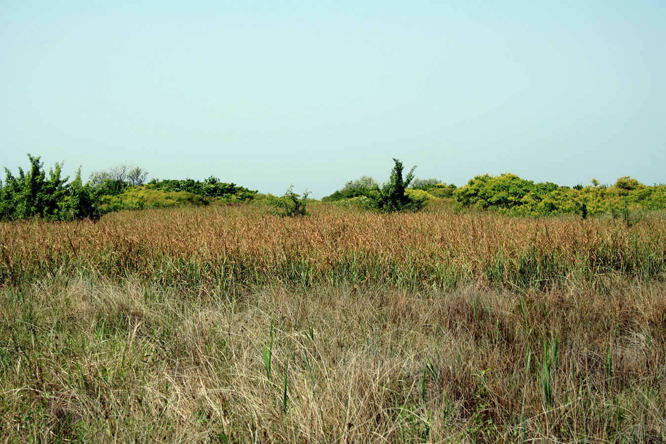 Тендровский маяк, image of landscape/habitat.