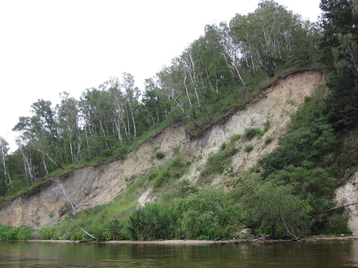 Трахтемиров, image of landscape/habitat.