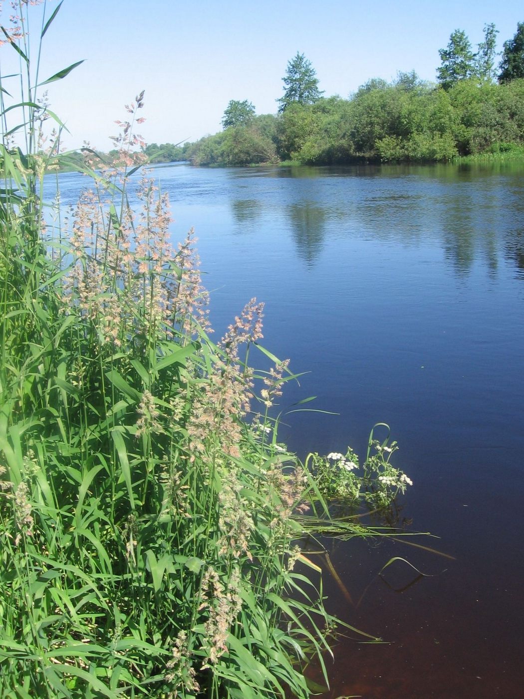 Белино, image of landscape/habitat.