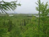 Image of landscape