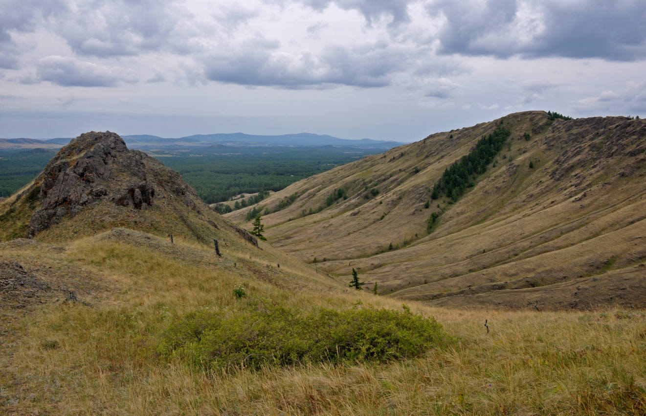 Хребет Нурали, image of landscape/habitat.