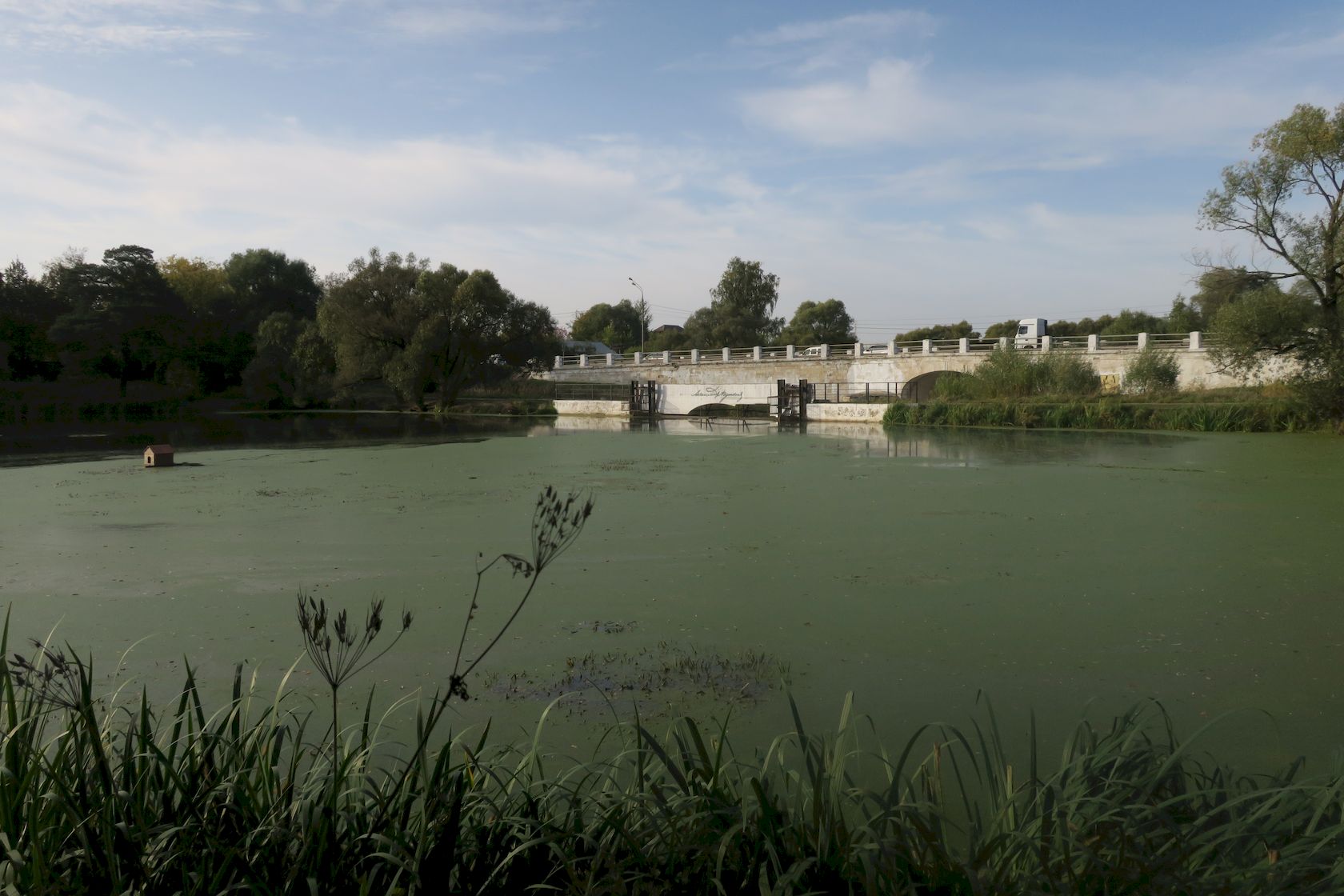 Большие Вязёмы, image of landscape/habitat.