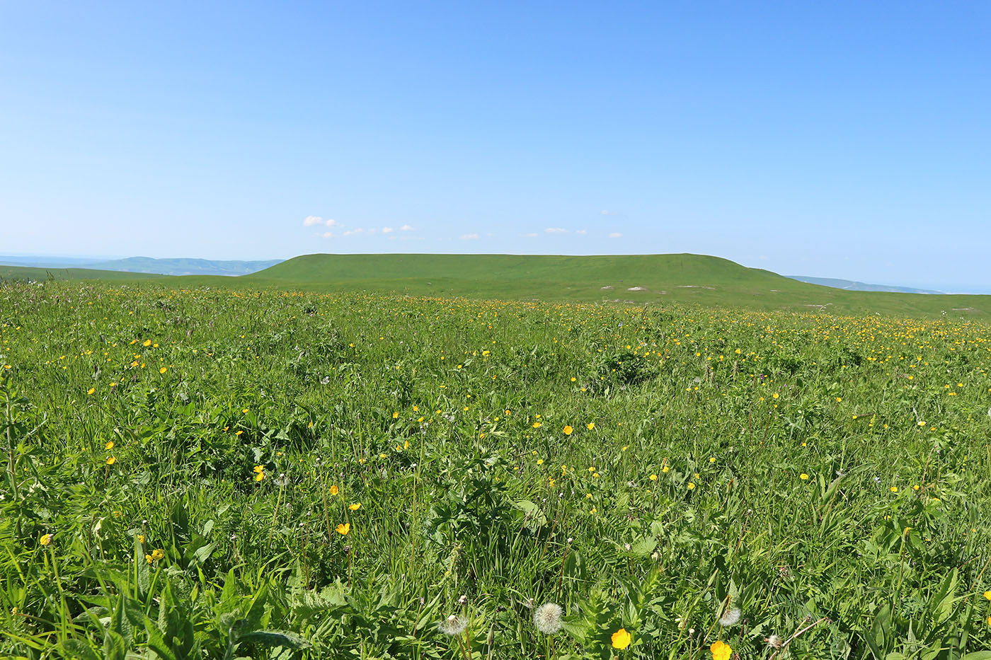 Джангур, image of landscape/habitat.