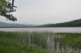 Озеро Японское, image of landscape/habitat.