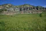 Урочище Тиреби, image of landscape/habitat.