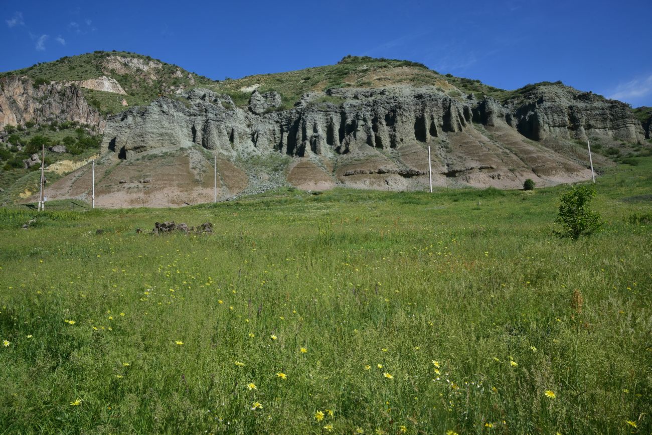Урочище Тиреби, image of landscape/habitat.