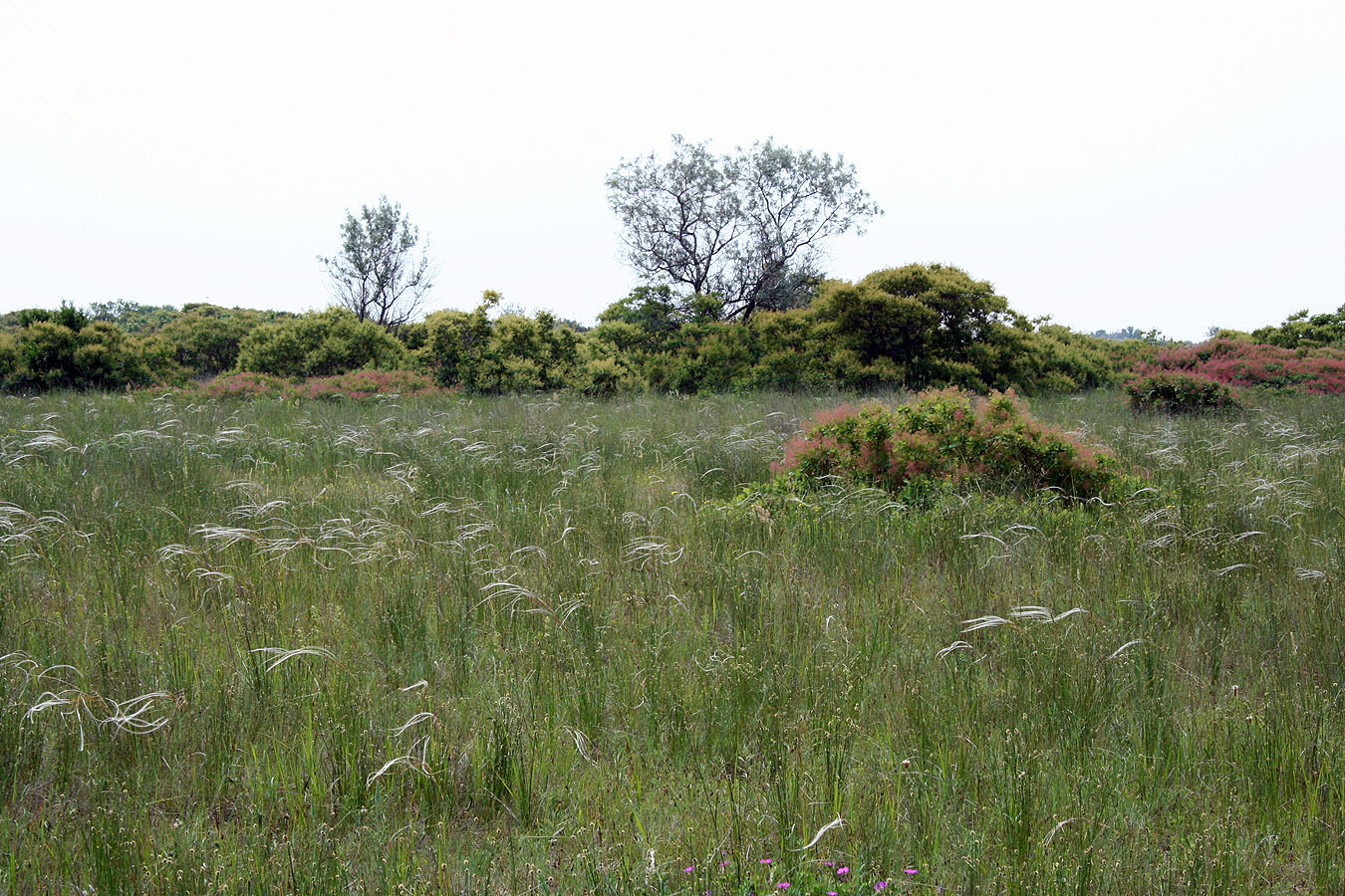 Тендровский маяк, image of landscape/habitat.