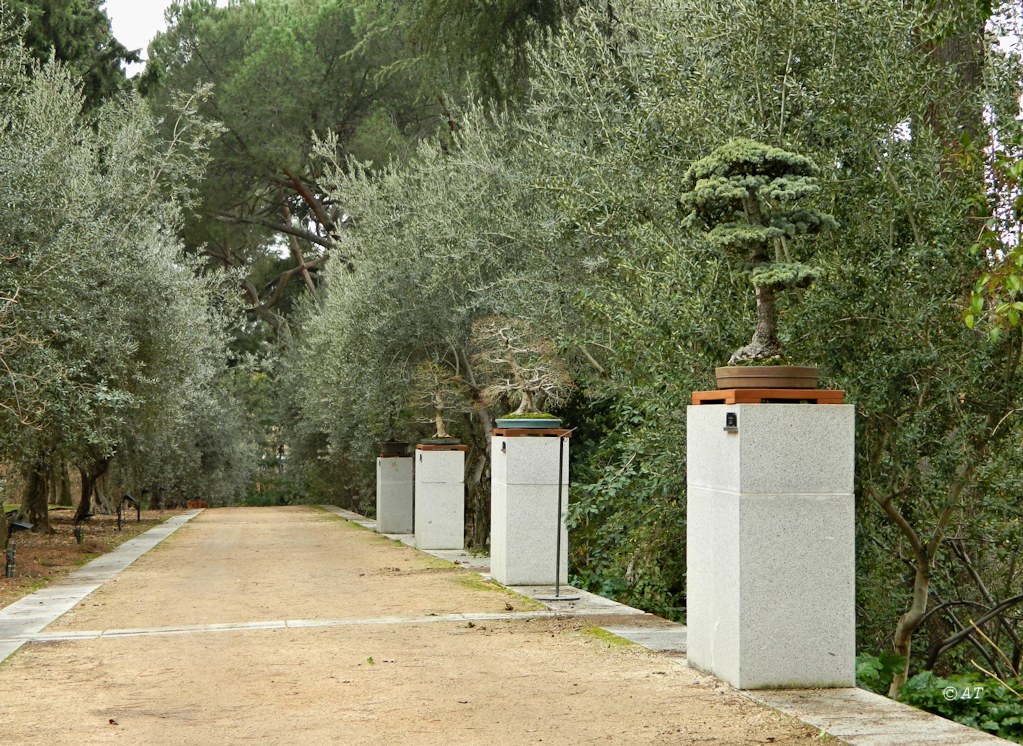 Real Jardín Botánico de Madrid, image of landscape/habitat.