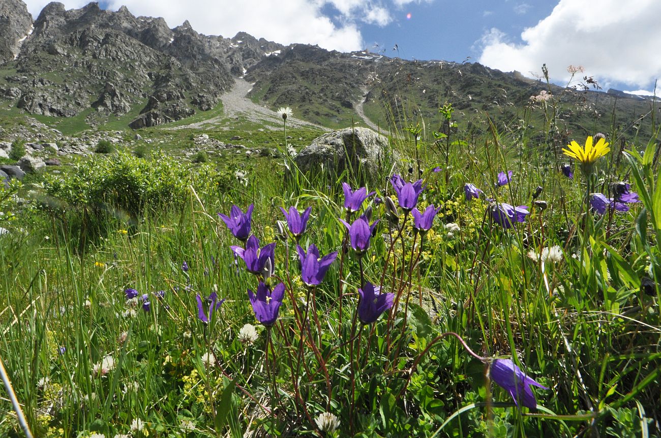 Долина реки Терскол, image of landscape/habitat.