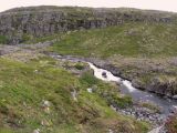 Междуречье Олёнки и Трящины, image of landscape/habitat.