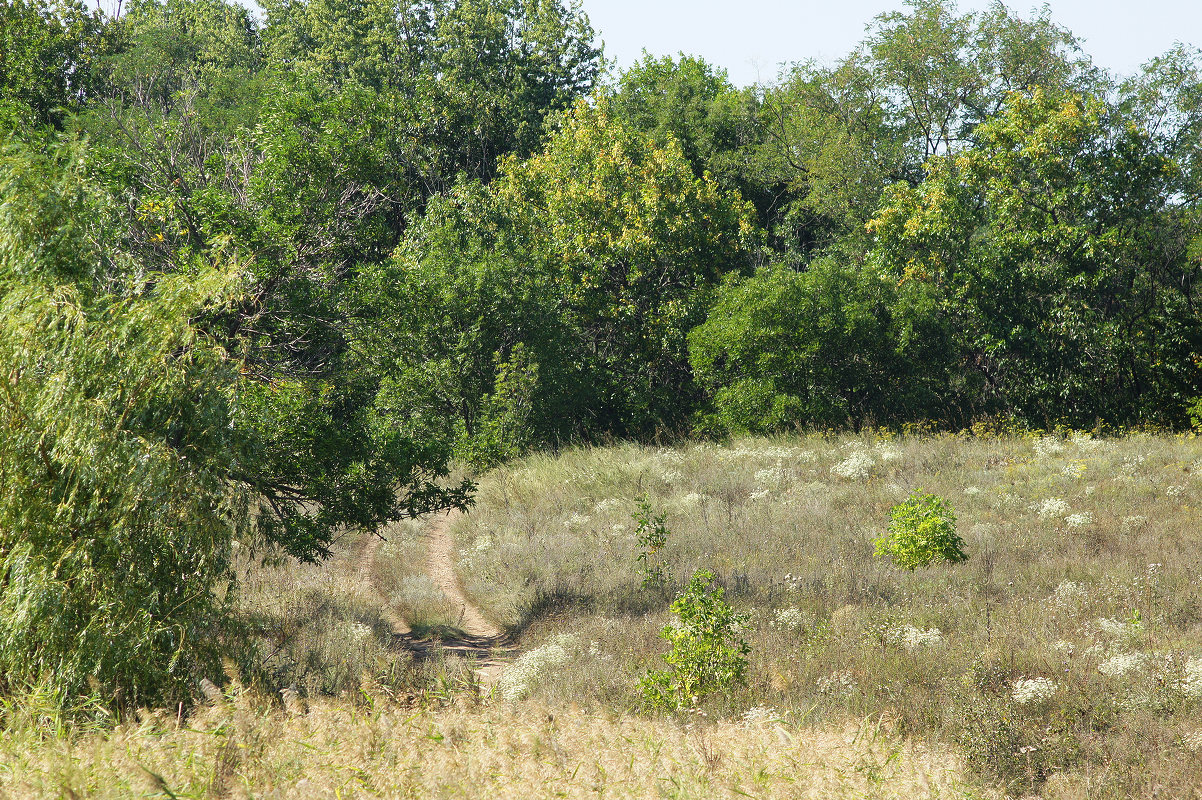 Донецкое море и окрестности, image of landscape/habitat.