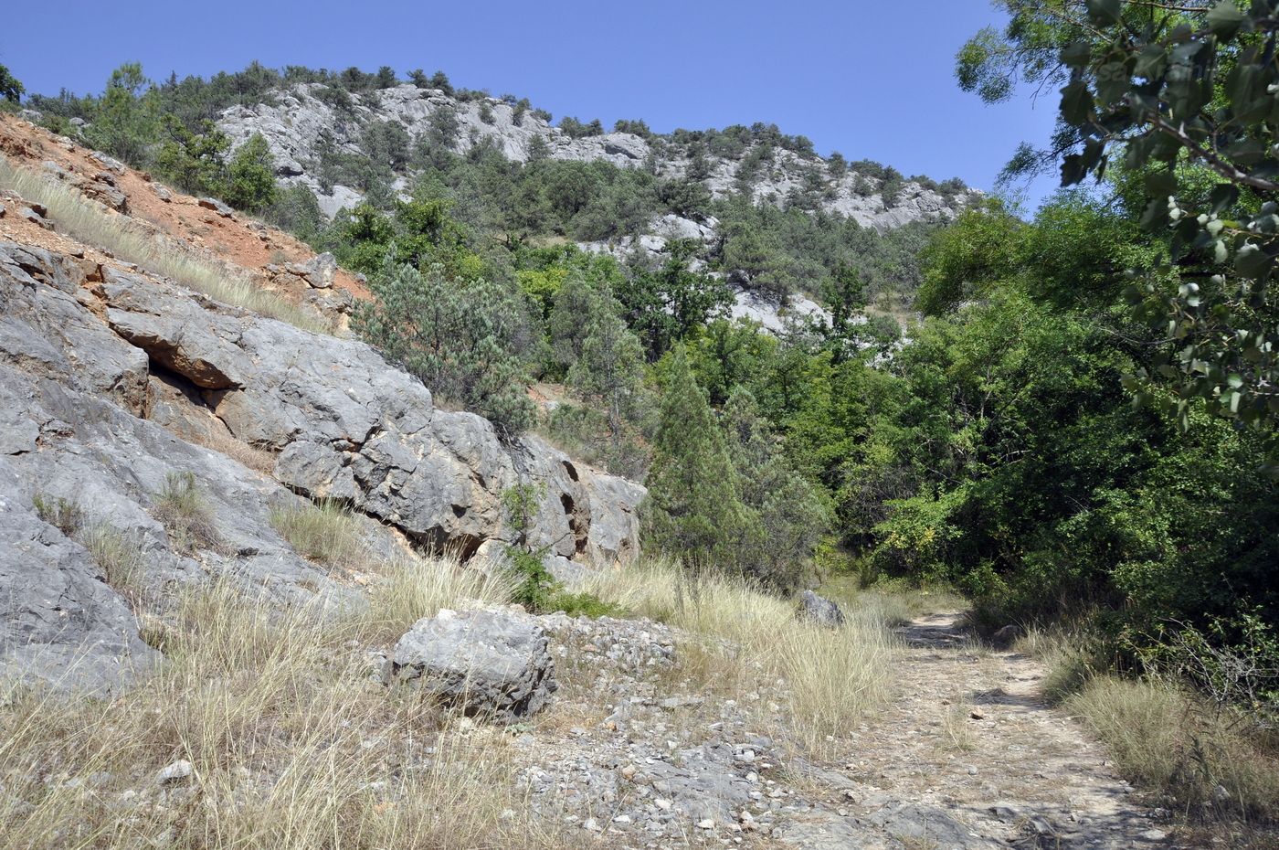 Чернореченский каньон, image of landscape/habitat.