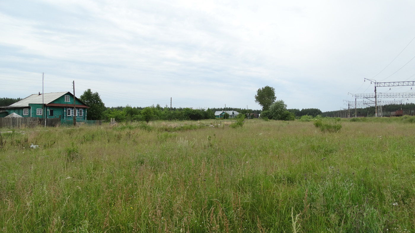 Леса у Венца, image of landscape/habitat.