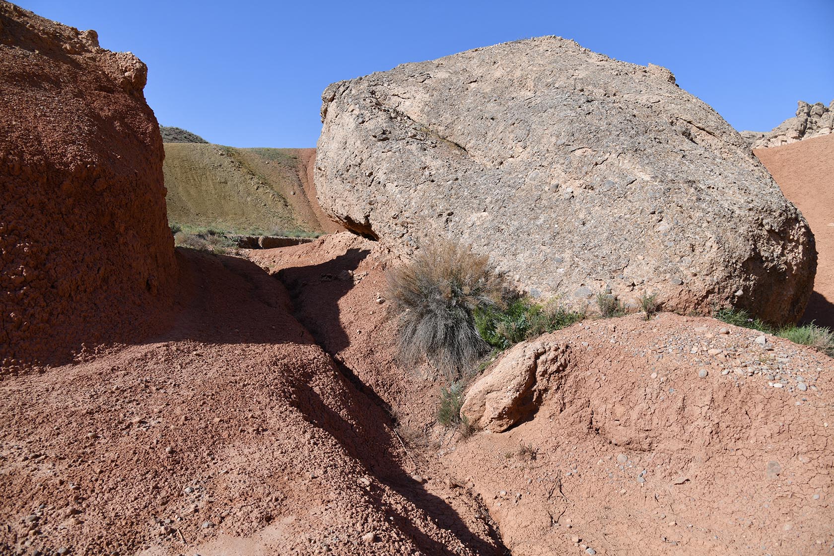 Исфара, image of landscape/habitat.