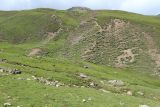 Урочище Хогес, image of landscape/habitat.