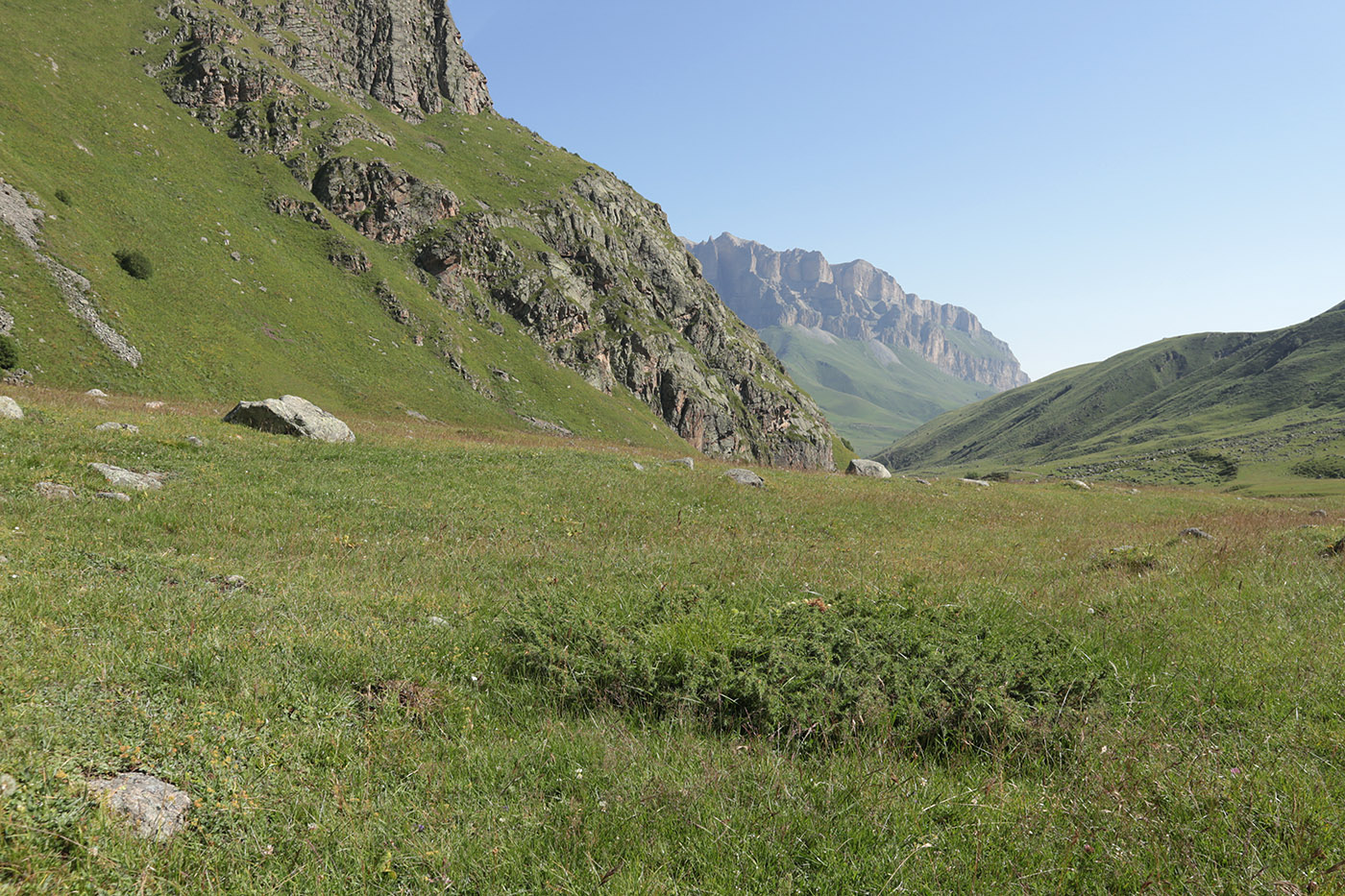 Псыгансу в верхнем течении, image of landscape/habitat.