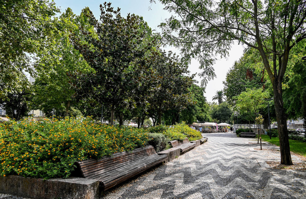 Сетубал, image of landscape/habitat.