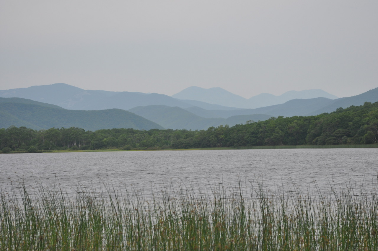 Озеро Японское, image of landscape/habitat.