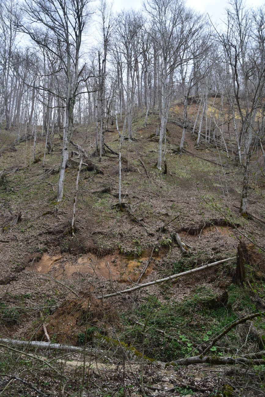 Долина реки Аминовка, image of landscape/habitat.