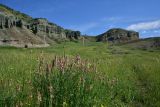 Урочище Тиреби, image of landscape/habitat.